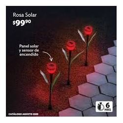 ROSA SOLAR