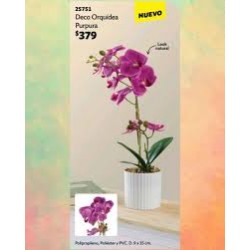 Deco Orquídea Púrpura